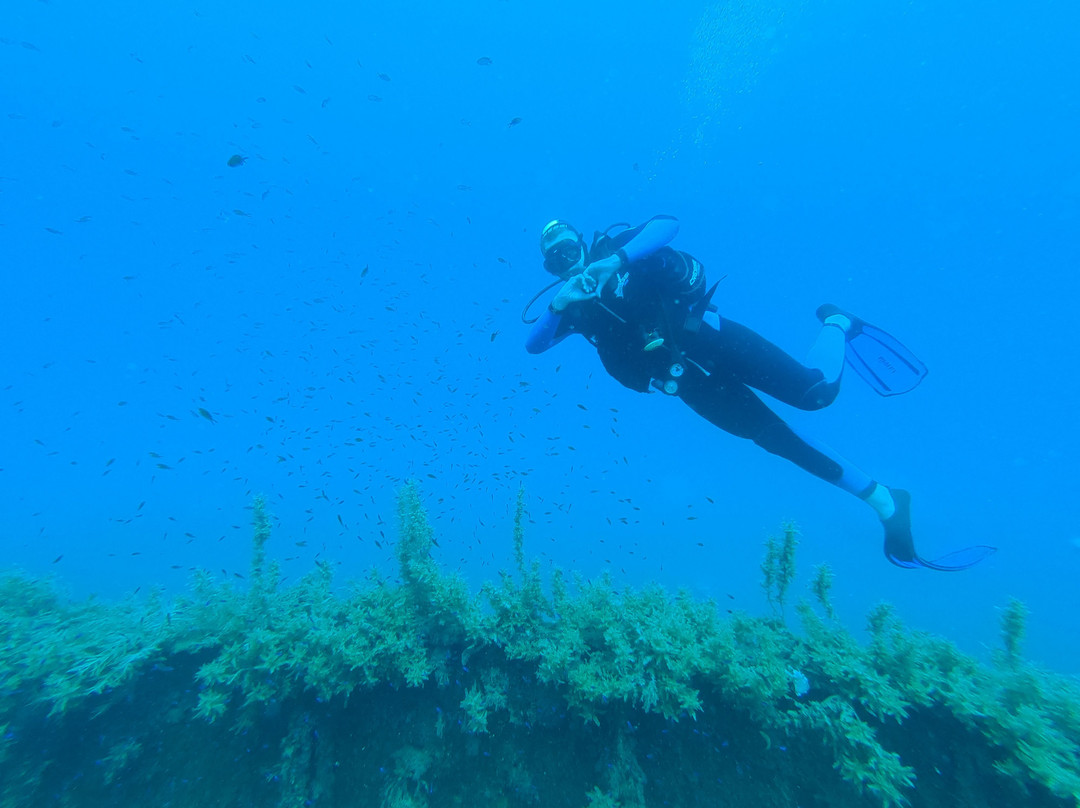 Seavery Diving Center-Kassandra必去景点