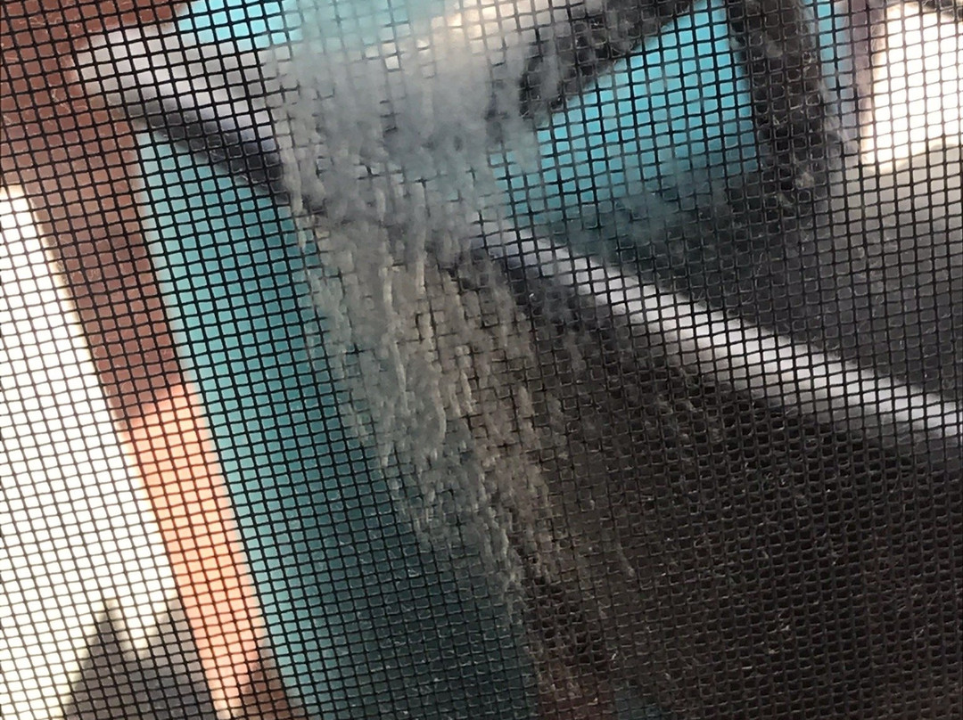 Oasis Del Mare Resort主图