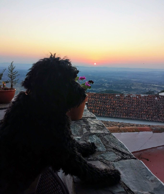 Casa da Silveirinha主图