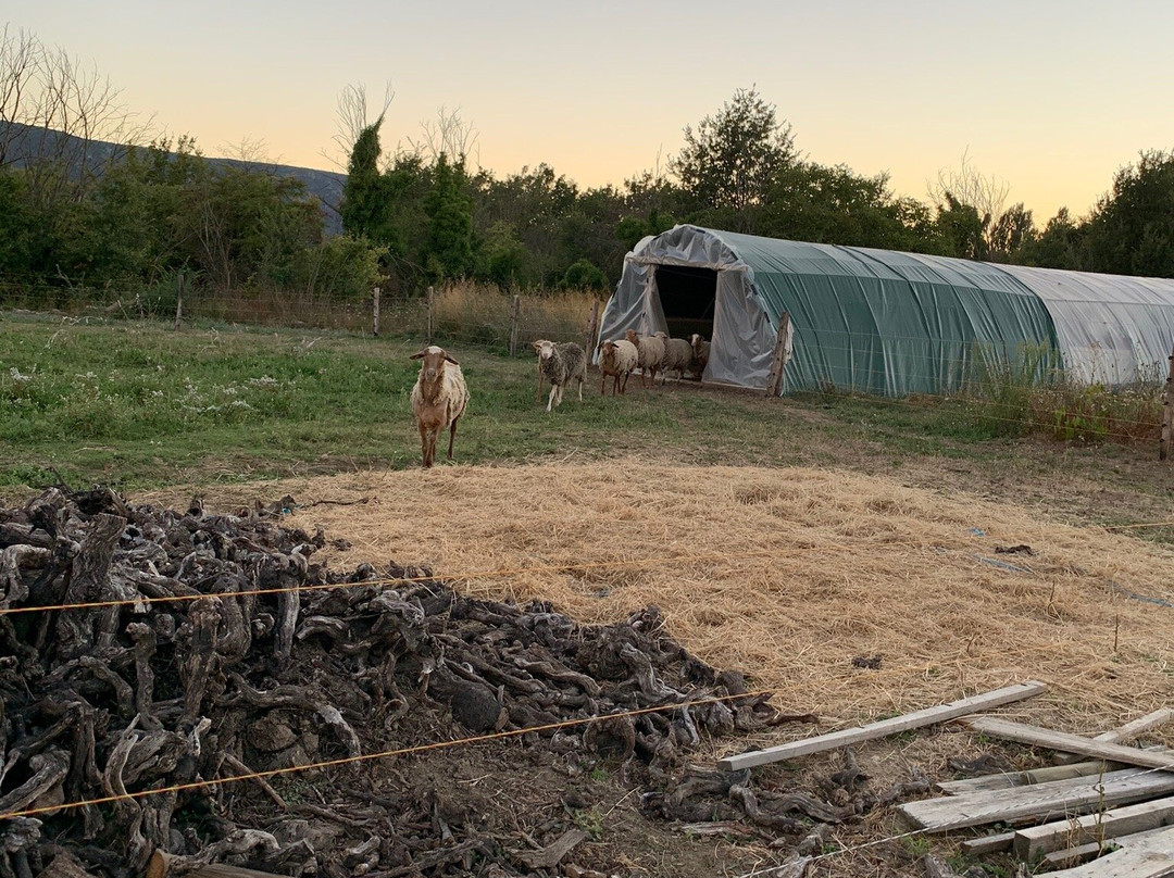 Camping à la Ferme les Boudougnes主图