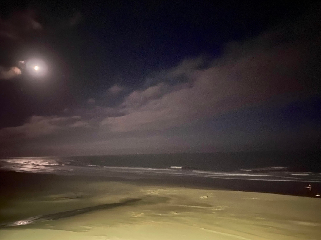 Pelican Shores Inn主图