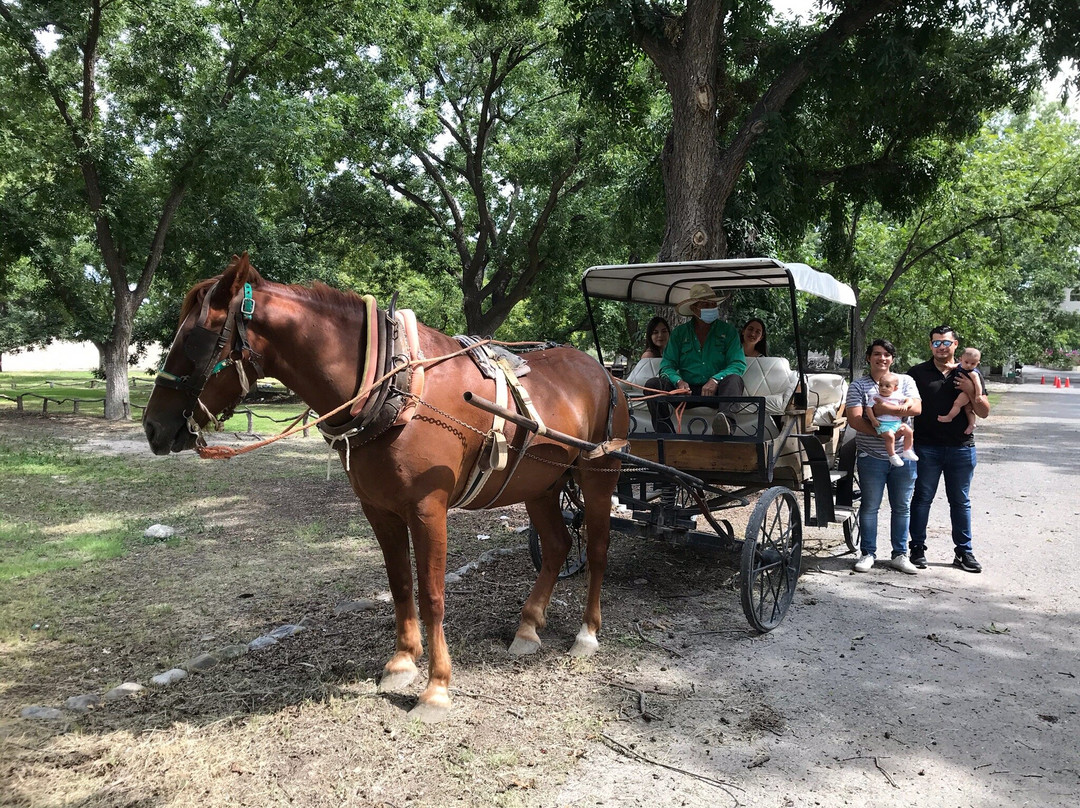 Vinicola Hacienda del Marqués-Parras de la Fuente必去景点