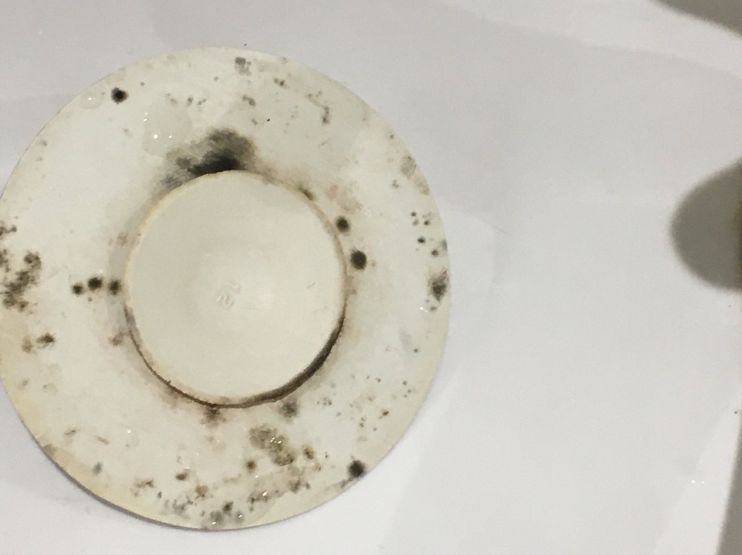 温德米尔庄园酒店主图