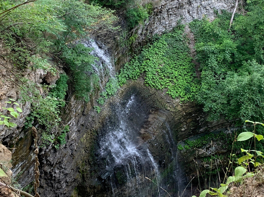 Felker's Falls Conservation Area景点图片