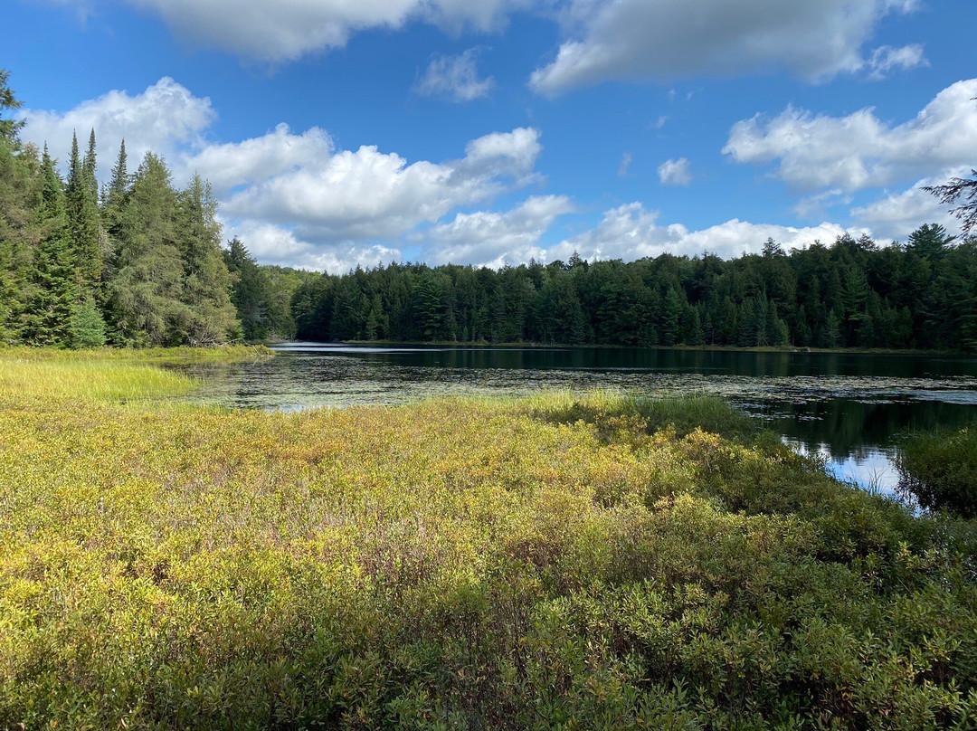 Hemlock Bluff Trail景点图片