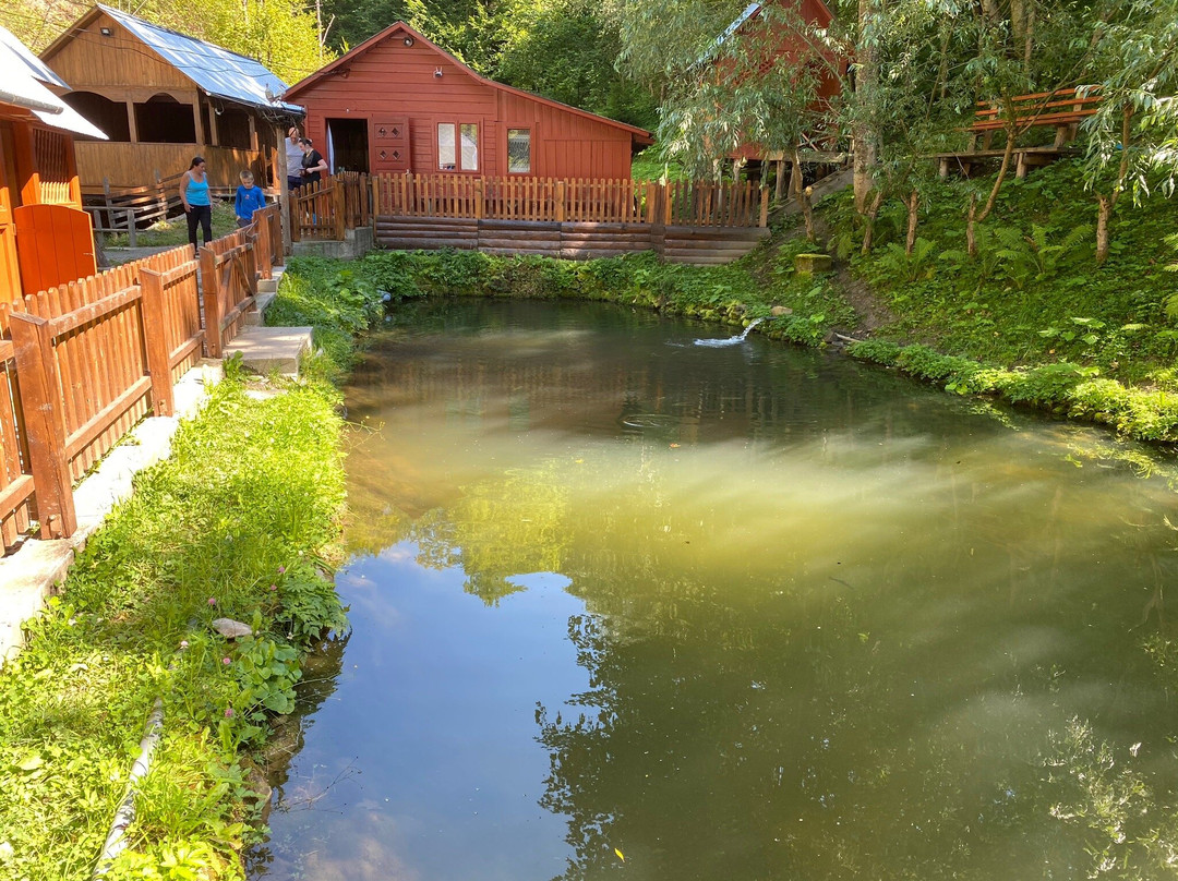 Trout Farm Eco-Trout-Yavoriv必去景点