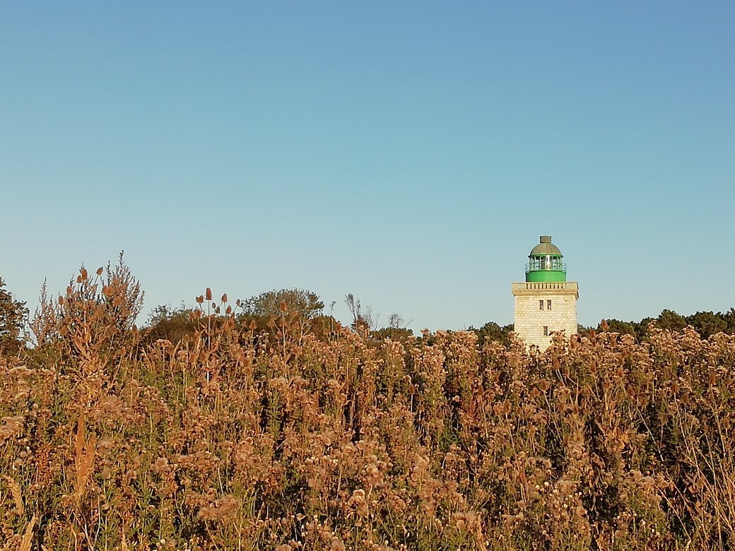 Phare d'Ailly景点图片