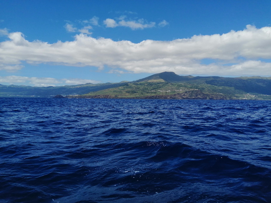 Aqua Açores-Lajes do Pico必去景点