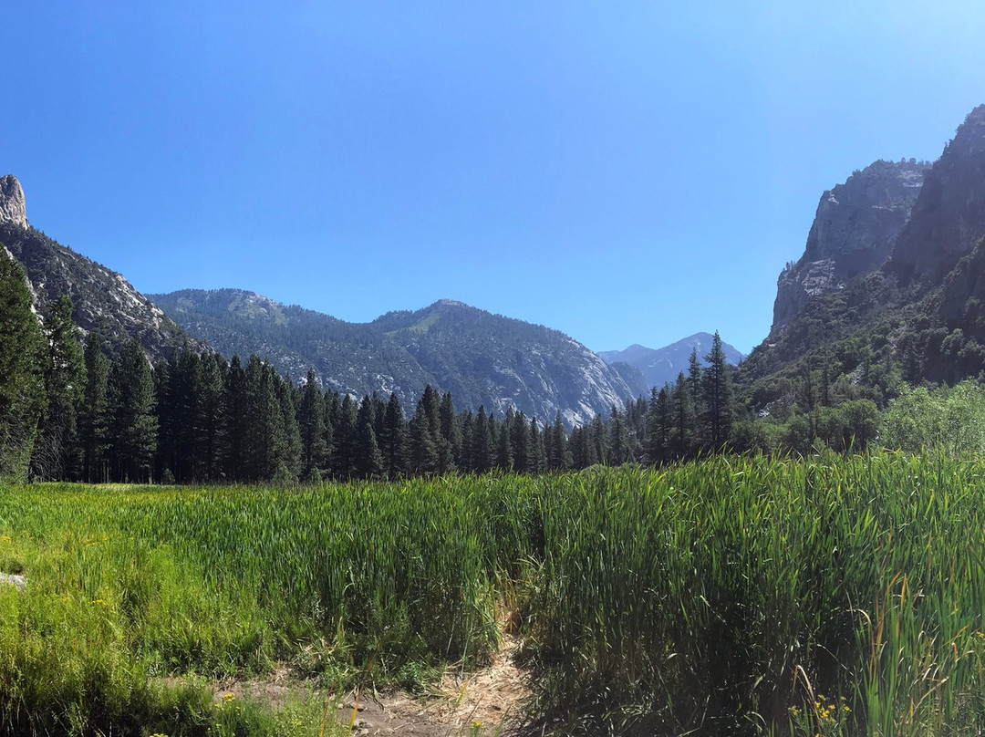 Zumwalt Meadow Trail-红杉&国王峡谷国家公园必去景点