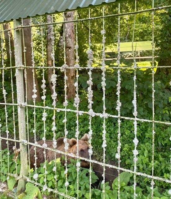 Elistvere Animal Park-Tabivere必去景点