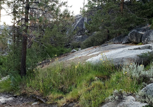 Mono Hot Springs Trail-Lakeshore必去景点