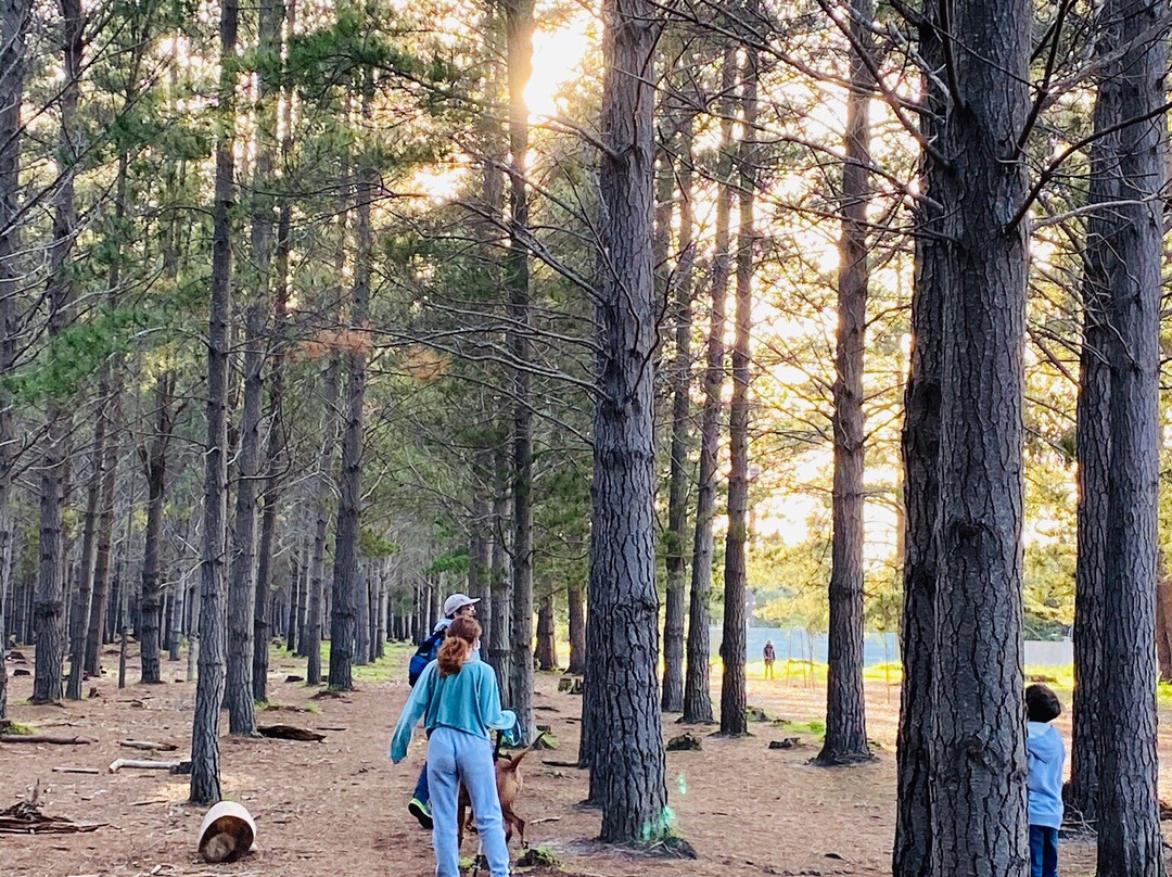 Tokai Forest-Tokai必去景点