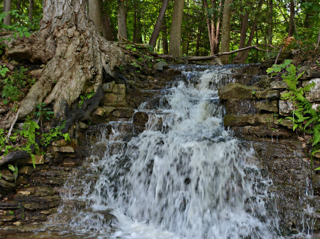 Silver Creek Conservation Area-Georgetown必去景点