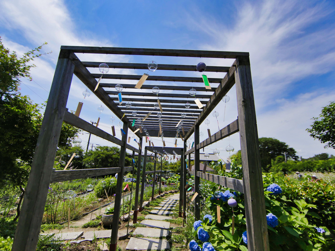 Koshoji Temple-森町必去景点