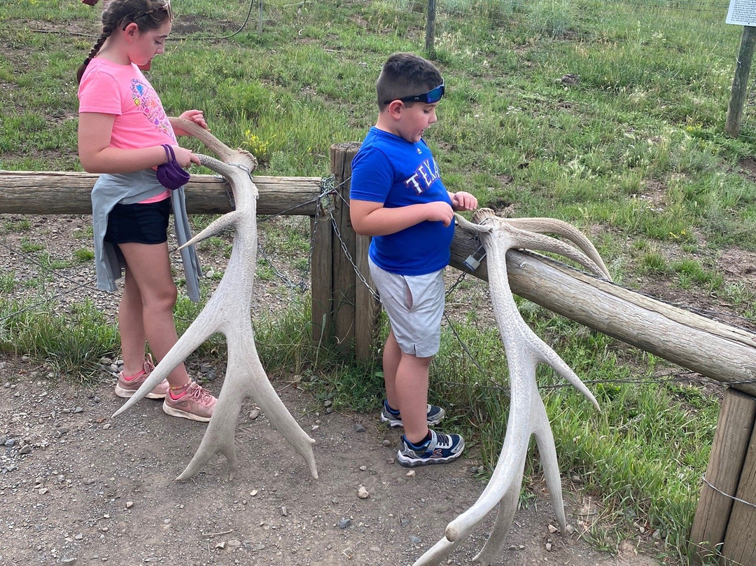 Rocky Mountain Wildlife Park景点图片