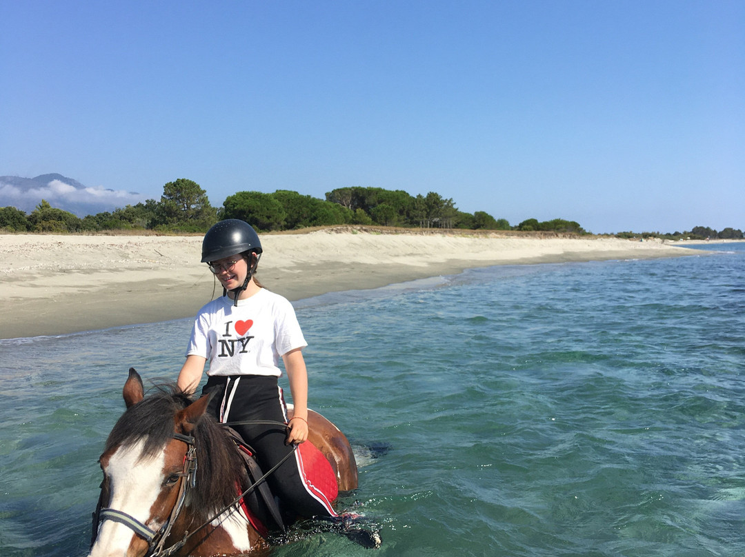 Aux Poneys d Eden-Canale-di-Verde必去景点