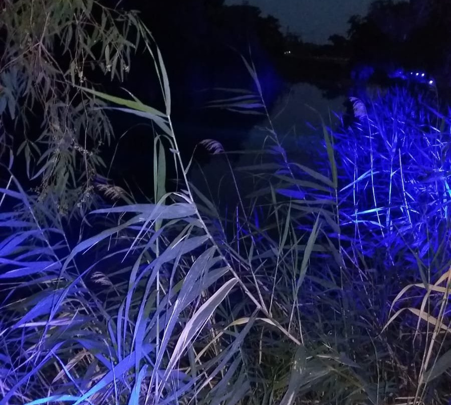 Lemon Park House主图