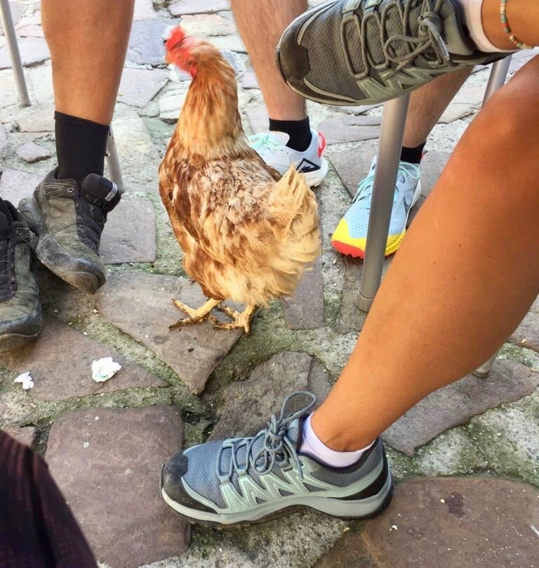 La Taberna De Tresviso主图