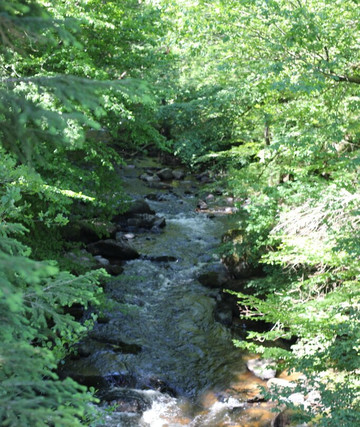 Confluence de la Cure et du Caillot-Gouloux必去景点