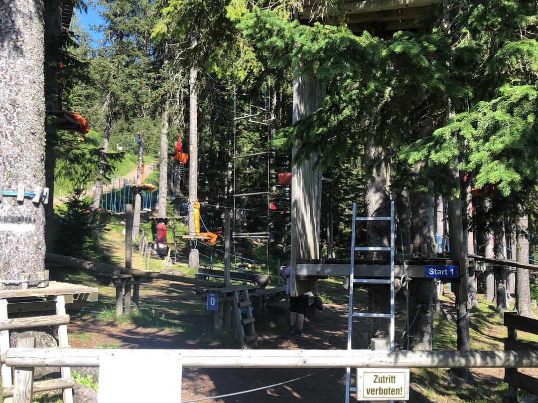 Adventurepark Katschberg-St. Michael im Lungau必去景点