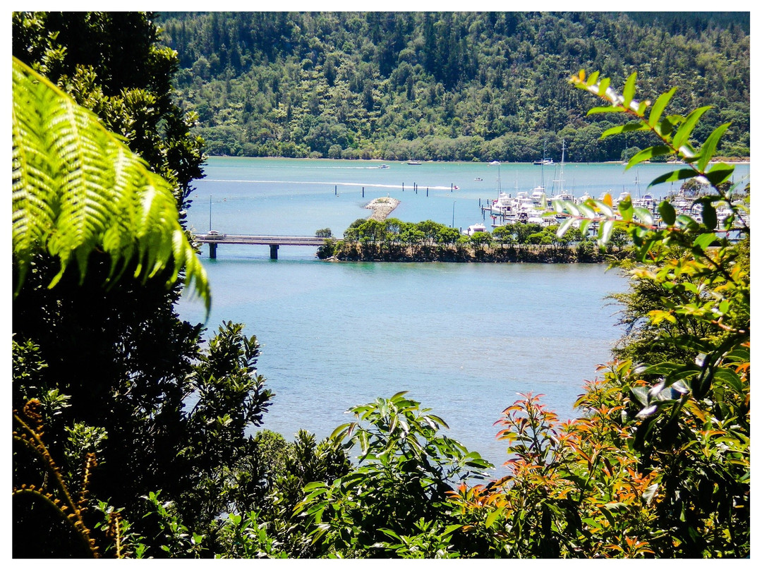瓦卡马塔酒店住宿-Whangamata Vistas B&B