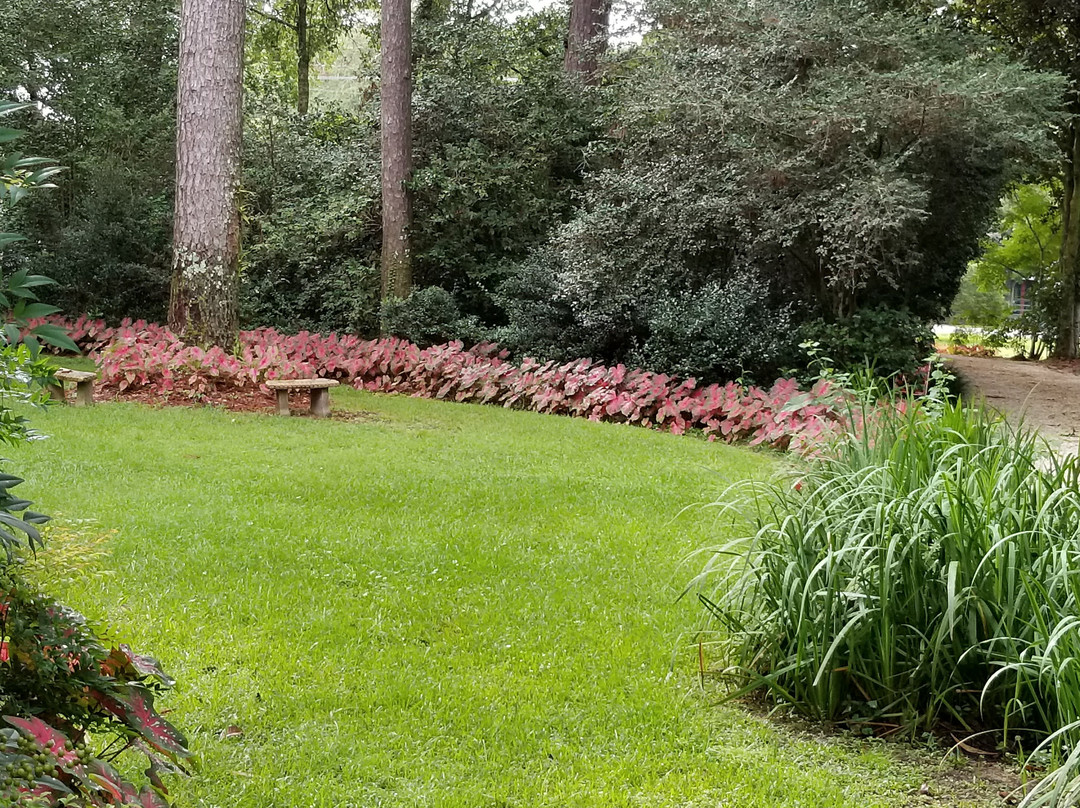 Bay Breeze Guest House主图