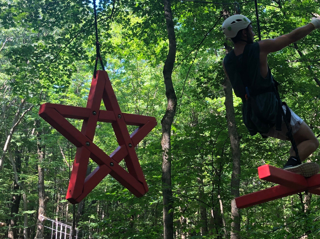 NY Zipline景点图片