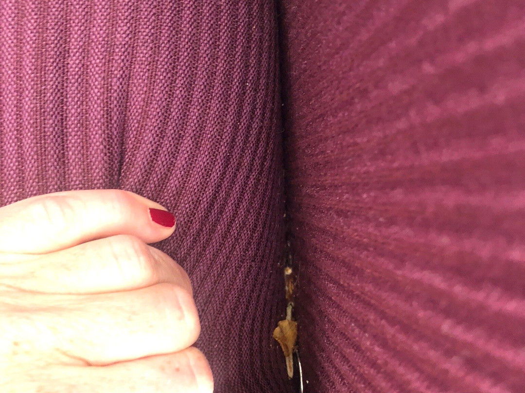 斯科维8号弗朗纳之家公寓主图