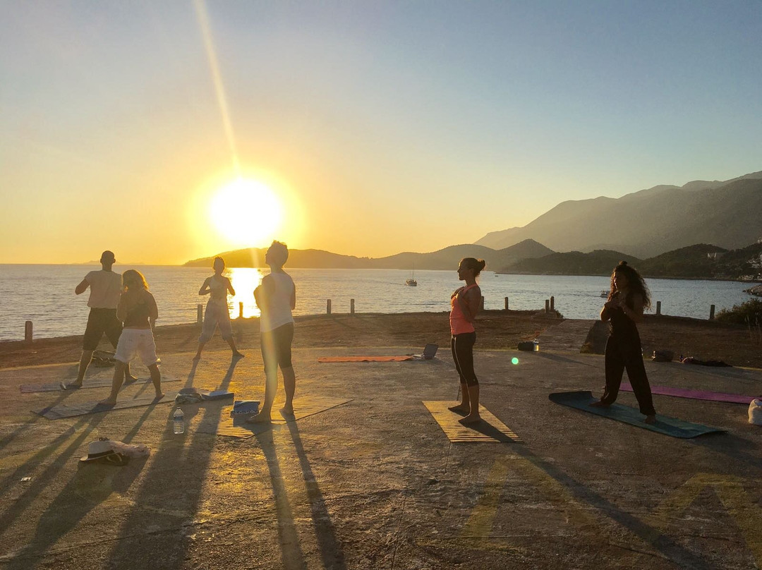 The Field for Yoga Therapies Nature By Beste Sabir景点图片