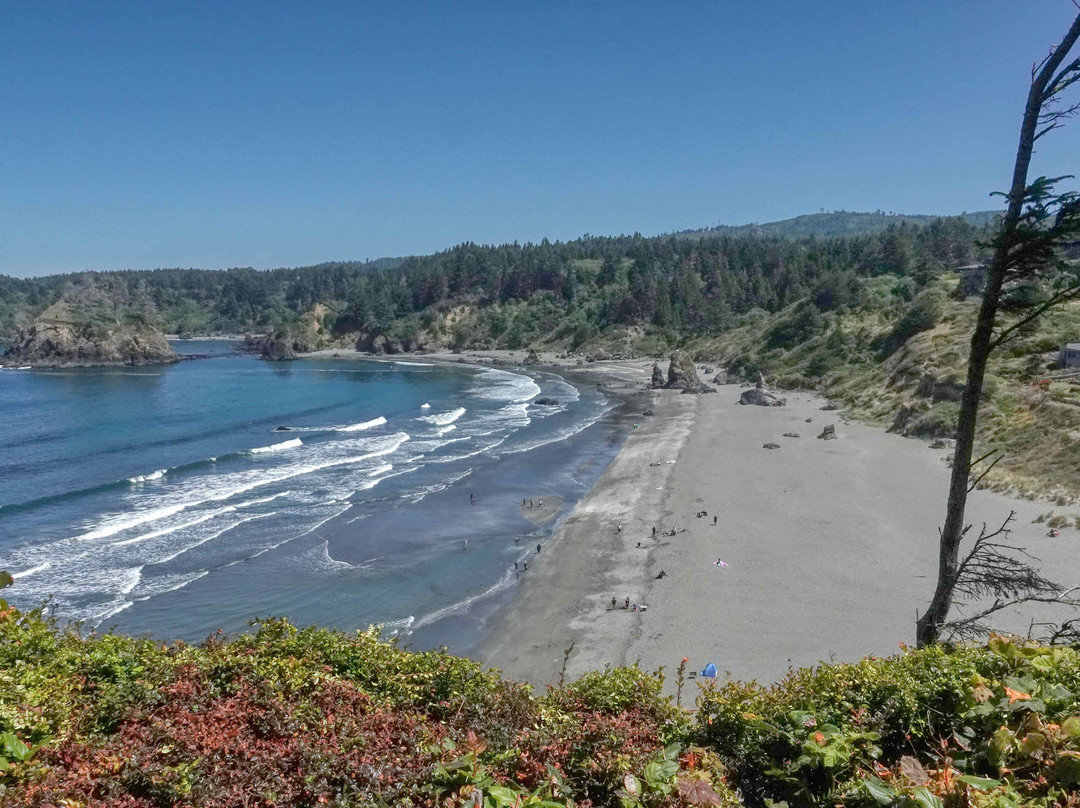 Trinidad State Beach景点图片