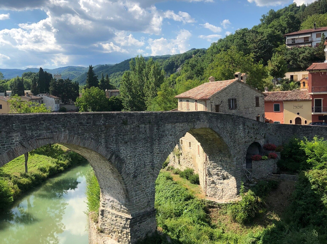 Chiesa e Museo di San Francesco景点图片