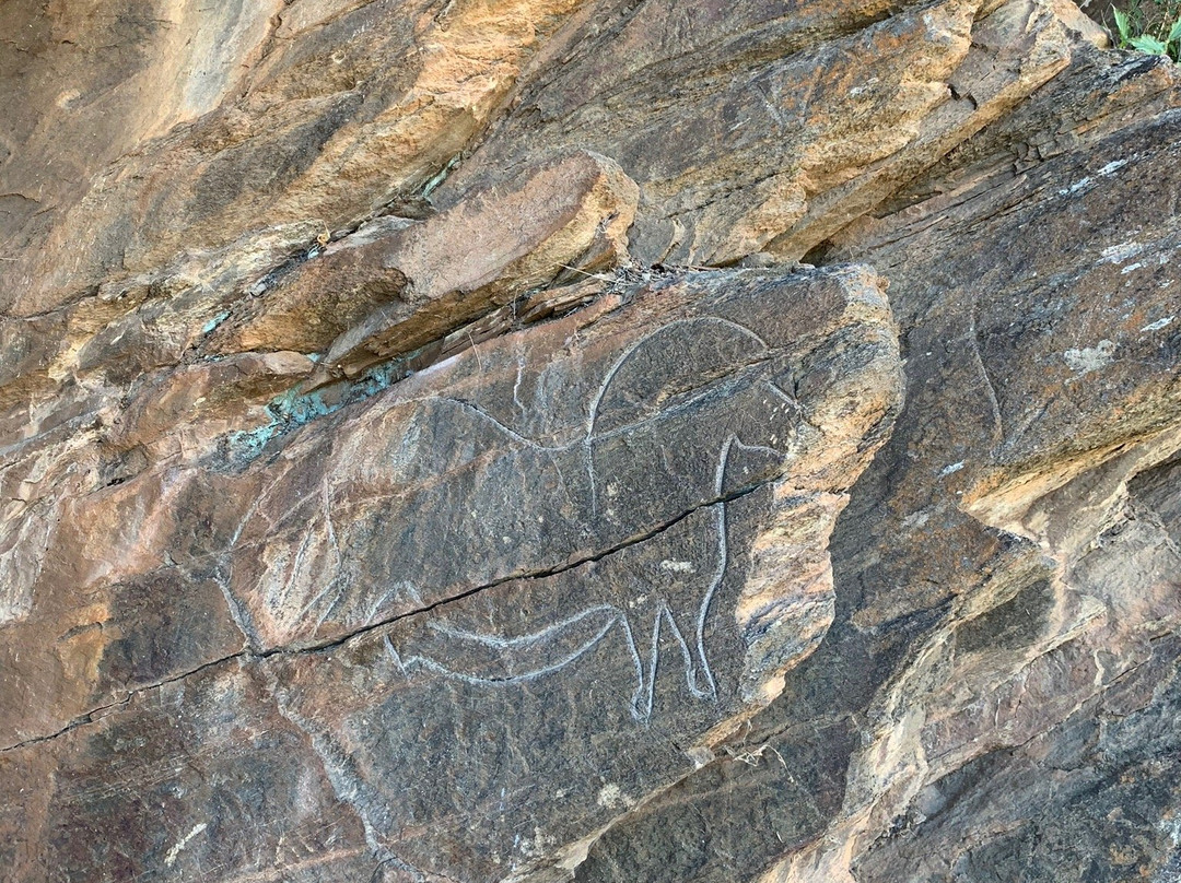 Rock Engravings of Mazouco景点图片