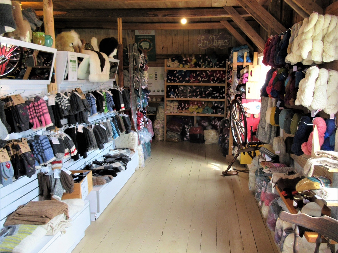 Ferme Fibres et Compagnie-Saint-Alexandre-de-Kamouraska必去景点