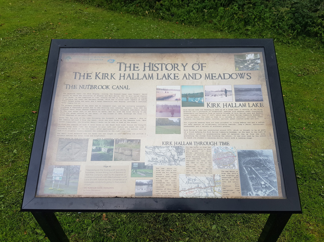 Kirk Hallam Lake & Meadow景点图片