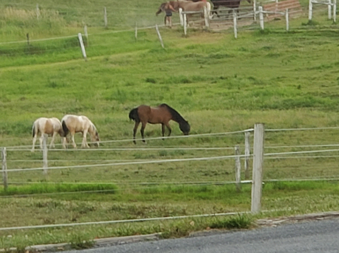 The Inn at Westwynd Farm主图