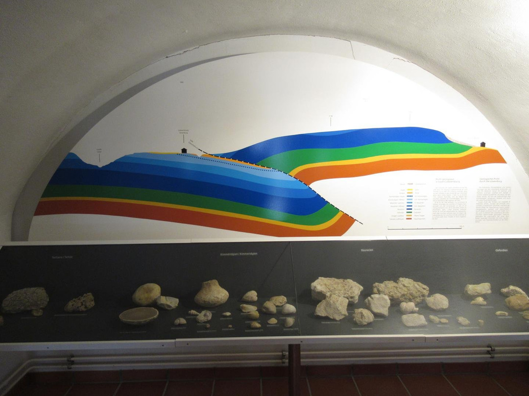 Museum auf der Löwenburg景点图片