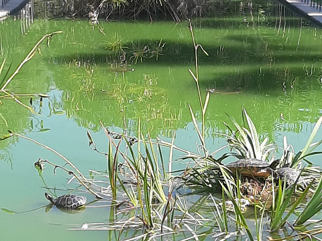 Torrecremada Park-德尼亚必去景点