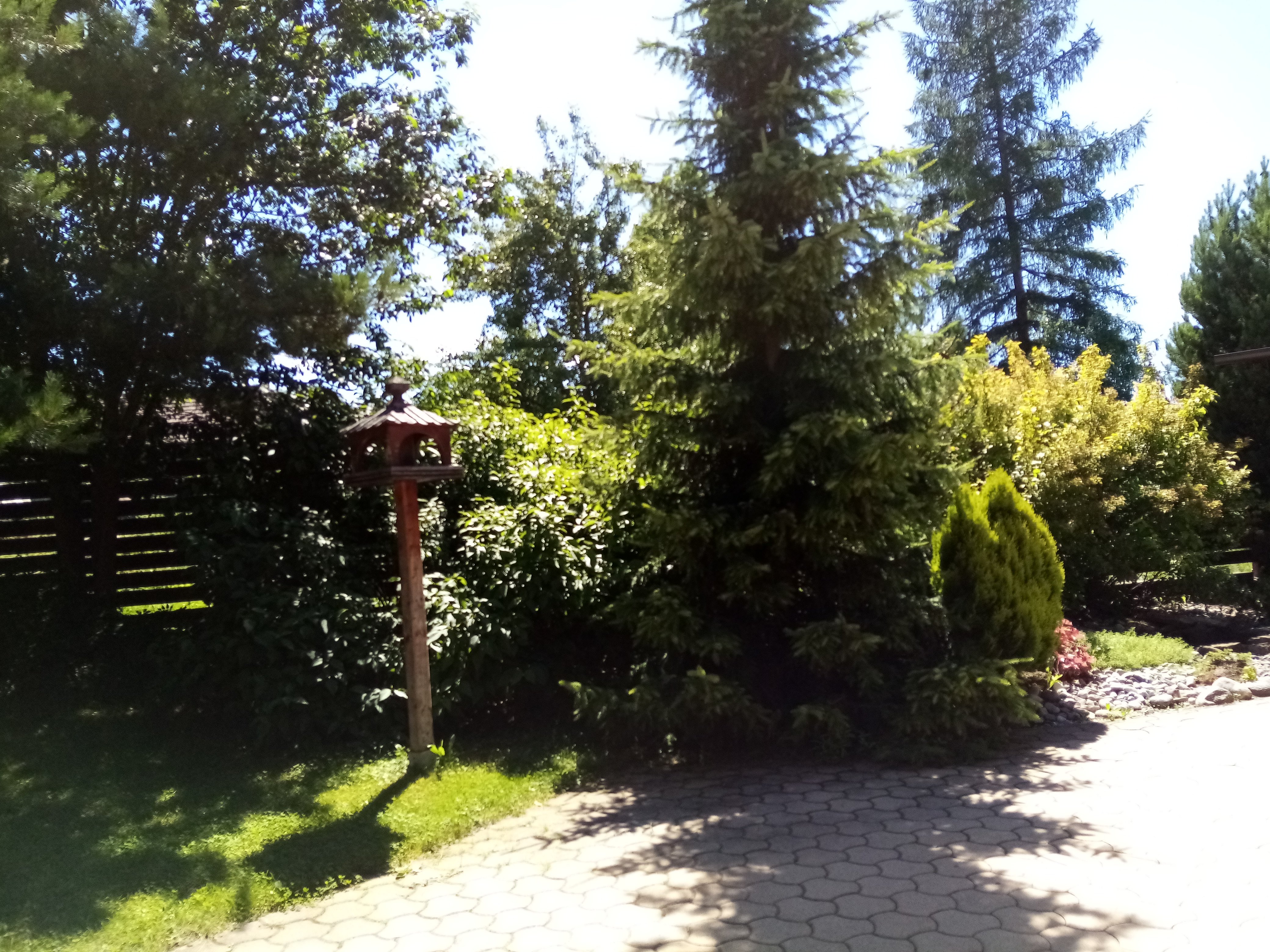 Sojka Resort-官方