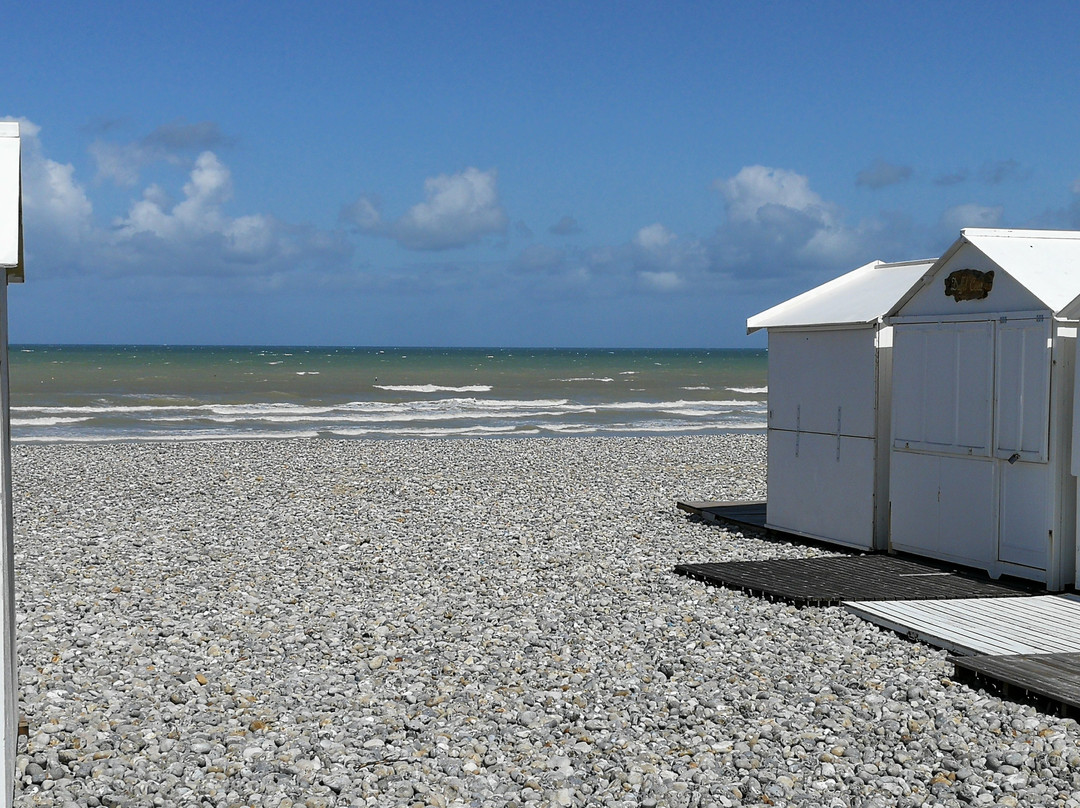 La villa flore主图