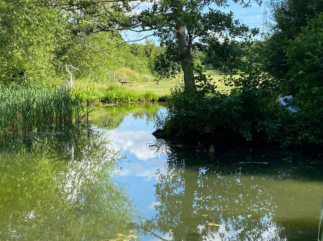 Davy Down Country Park景点图片