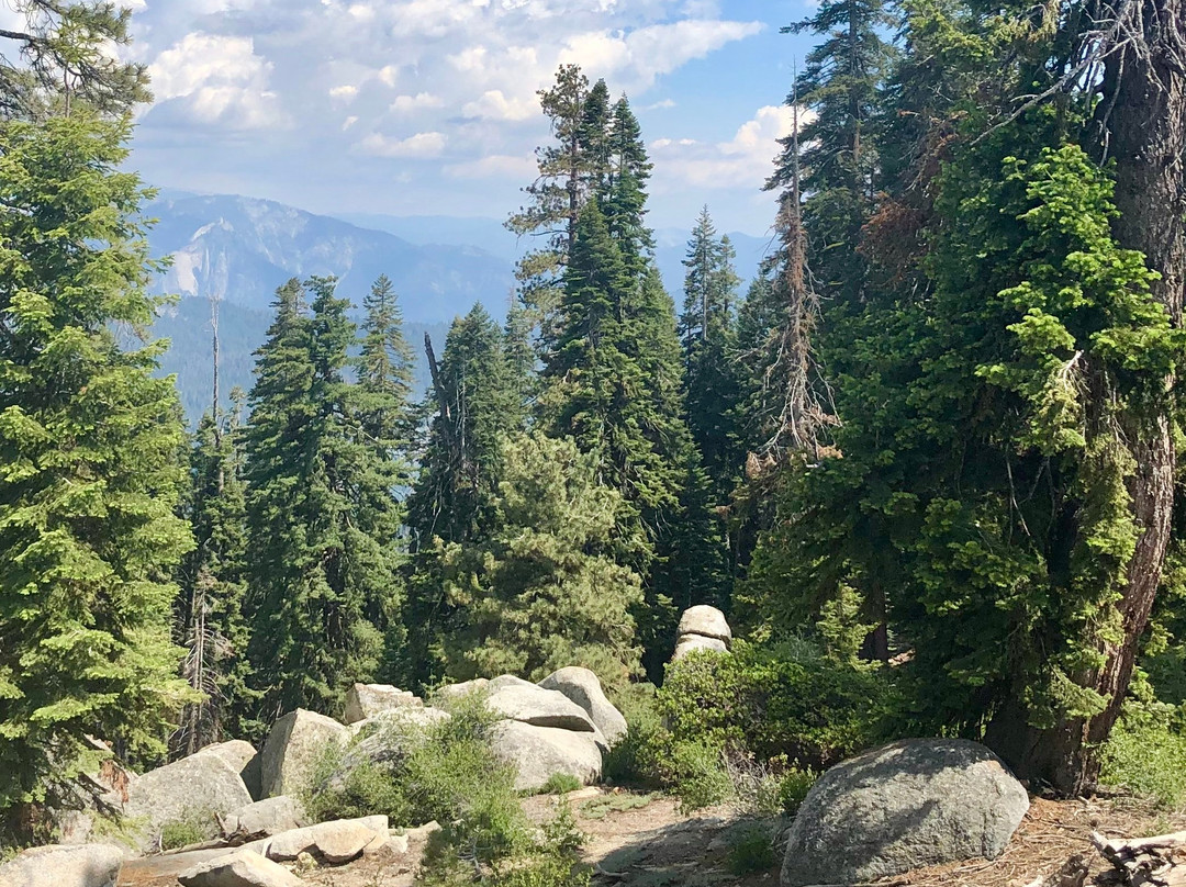 Little Baldy Trail-红杉&国王峡谷国家公园必去景点