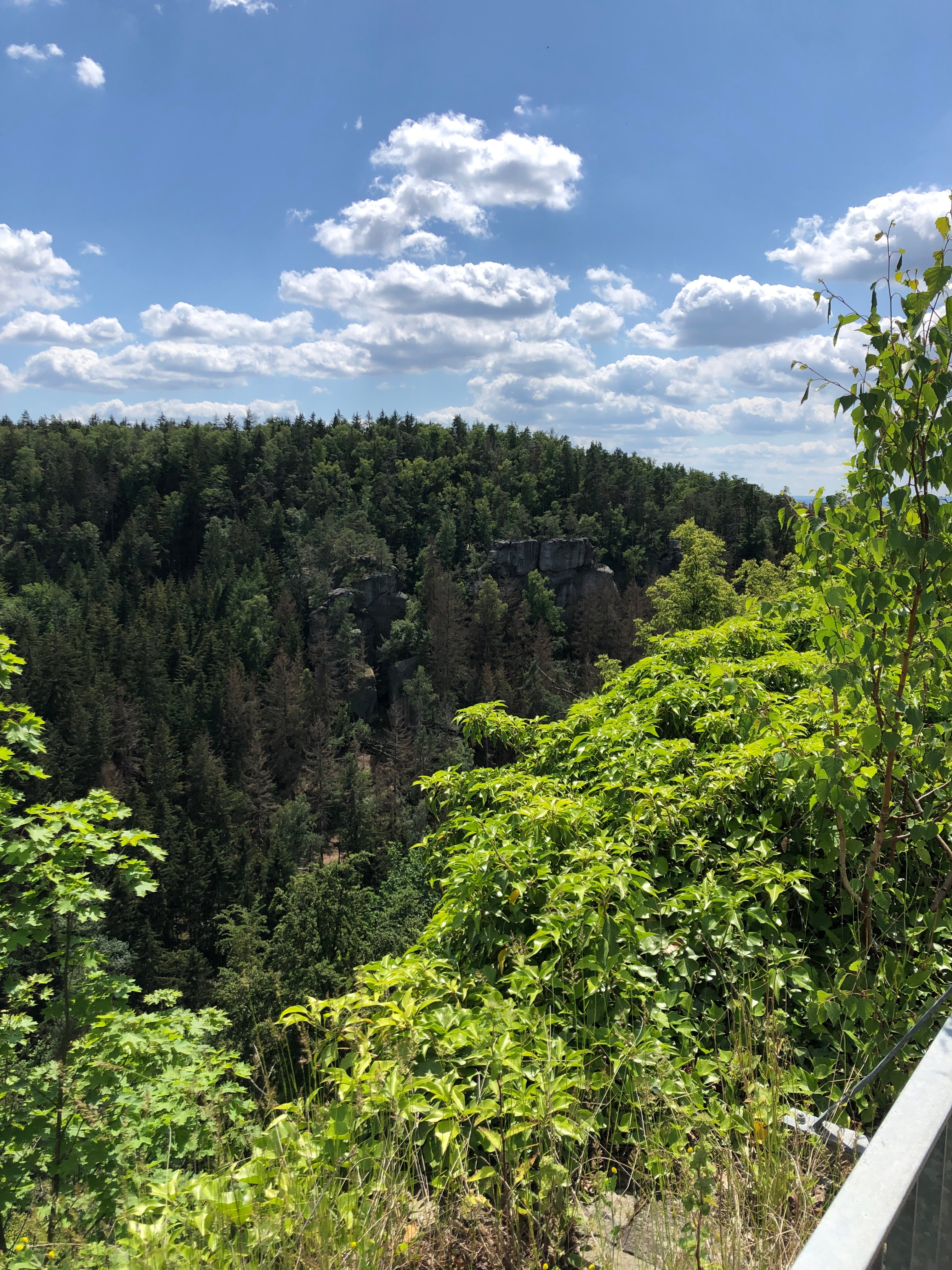 Burg Hohnstein-浴室