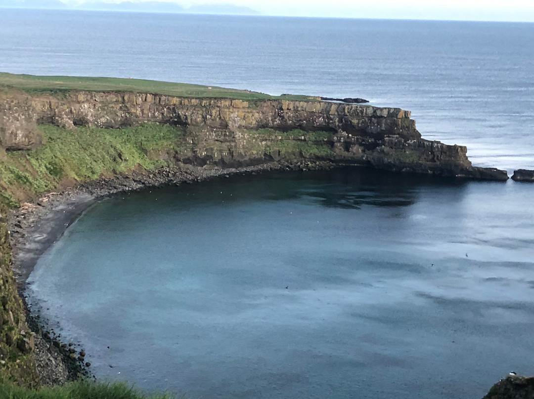 Guesthouse Basar主图