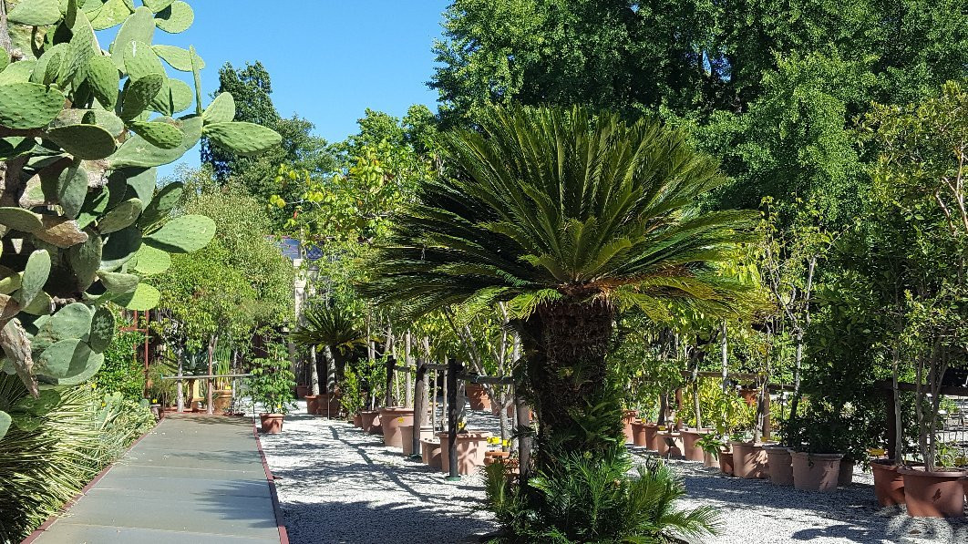 Orto Botanico di Lucca景点图片