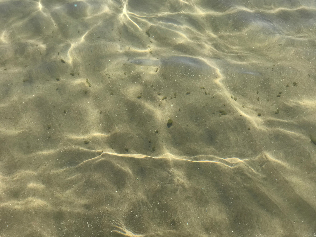 Sandy Island Beach State Park景点图片