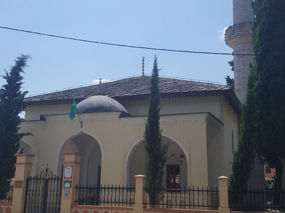 Mosque of Osman-Pasha景点图片