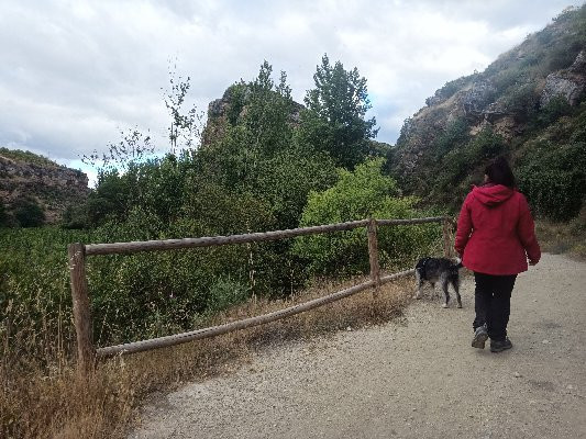 Monumento Natural de Los Tajos景点图片