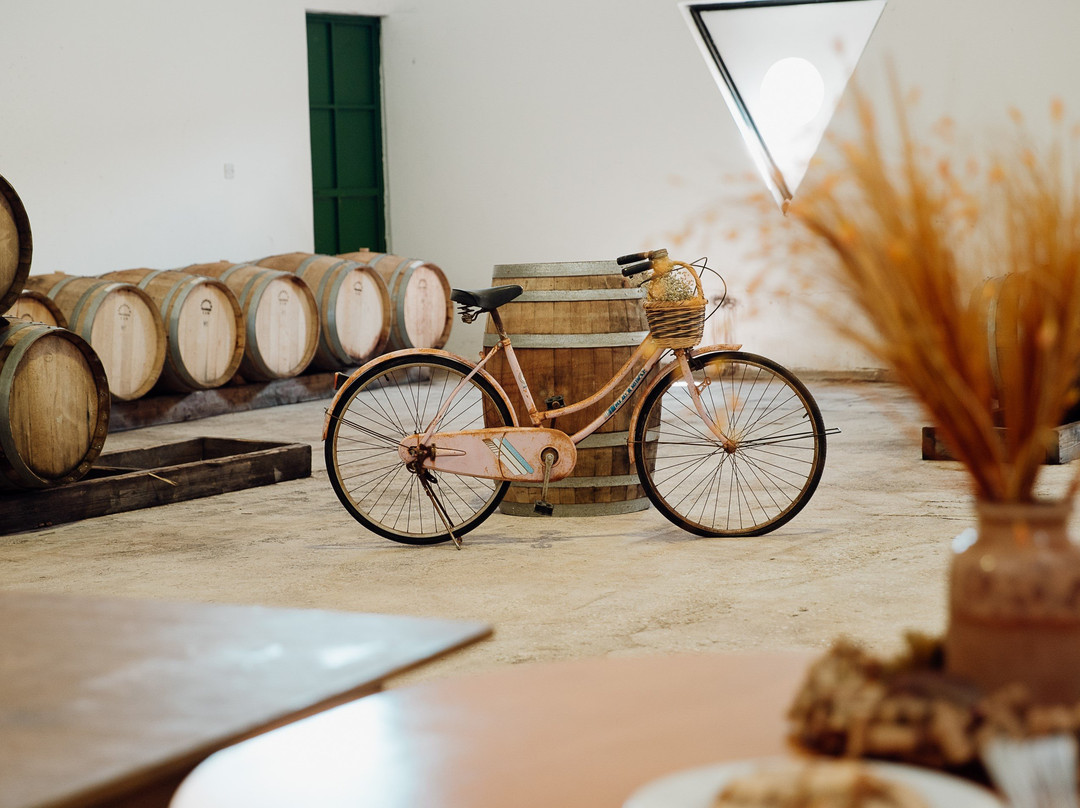 Fikardos Winery-Mesogi必去景点