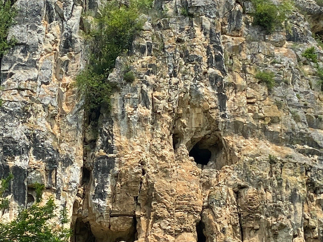 The Black Stork Hotel主图