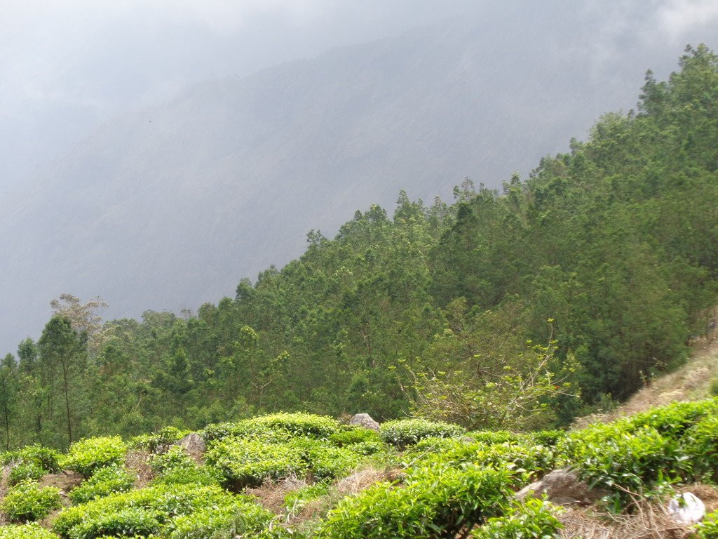 Kurangani-Theni必去景点